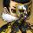 Your avatar