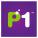 p1networks